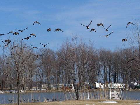 Pelee Getaway Bed & Breakfast